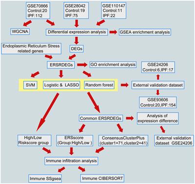 Comprehensive analysis of an endoplasmic reticulum stress-related gene prediction model and immune infiltration in idiopathic pulmonary fibrosis